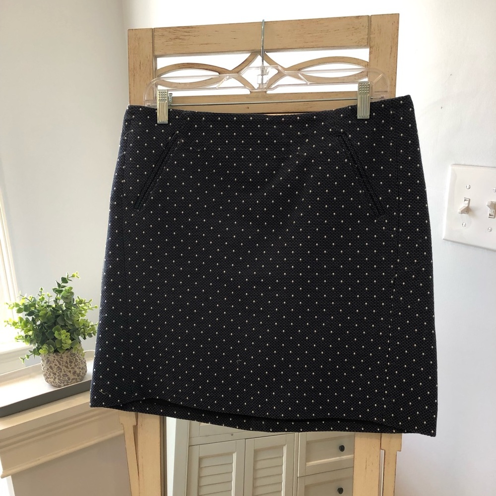 Polka Dot Skirt
